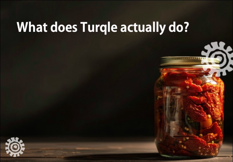 Slide: What does Turqle actually do?